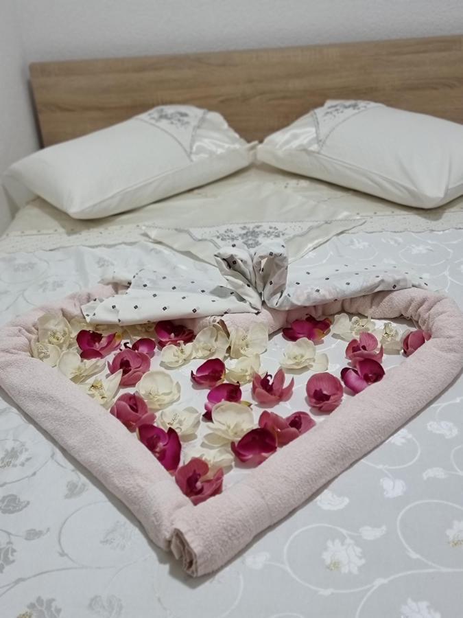 Hostel Bellavista Κόπερ Εξωτερικό φωτογραφία
